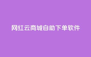 网红云商城自助下单软件