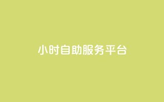 ks24小时自助服务平台,自助云商城快手下单 - dy评论下单 - 卡盟ks在线自助下单低价
