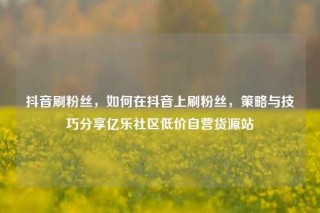 抖音刷粉丝，如何在抖音上刷粉丝，策略与技巧分享亿乐社区低价自营货源站