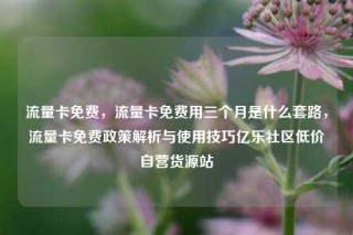 流量卡免费，流量卡免费用三个月是什么套路，流量卡免费政策解析与使用技巧亿乐社区低价自营货源站