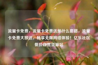 流量卡免费，流量卡免费送是什么套路，流量卡免费大放送，畅享无限网络体验！亿乐社区低价自营货源站