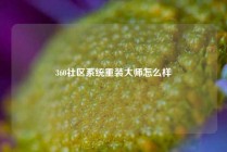 360社区系统重装大师怎么样