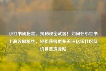 小红书刷粉丝，揭秘秘密武器！如何在小红书上高效刷粉丝，轻松获得更多关注亿乐社区低价自营货源站