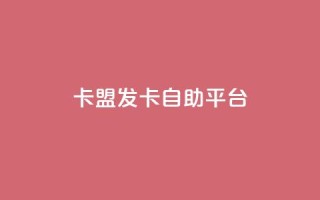 卡盟发卡自助平台 - 卡盟的货源都是哪里来的
