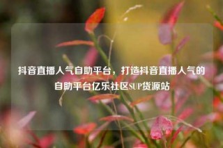 抖音直播人气自助平台，打造抖音直播人气的自助平台亿乐社区SUP货源站