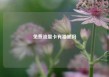 免费流量卡有猫腻吗