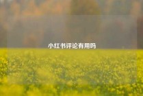 小红书评论有用吗