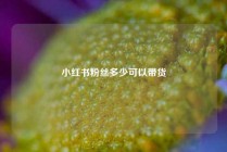 小红书粉丝多少可以带货