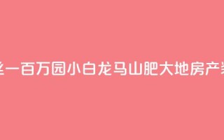 快手粉丝一百万0.01园小白龙马山肥大地房产装修网站,抖音24小时在线下单网站 - 快赞自助下单入口 - 老马qq业务网站