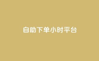 自助下单24小时平台 - 全天候自助下单平台，24小时无缝服务体验~