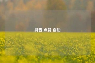 抖音 点赞 自助