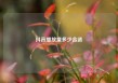 抖音播放量多少合适