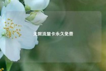 无限流量卡永久免费