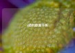 b站的数据分析