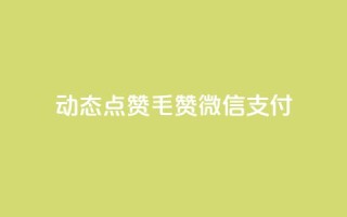 qq动态点赞1毛10000赞微信支付,全网最低价是指什么 - 拼多多助力24小时 - 拼多多剃须刀为什么那么便宜