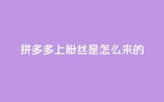 拼多多上粉丝是怎么来的,免费点赞超级便宜网站 - 抖音怎么清理虚假粉丝 - qq赞在线自助下单网站