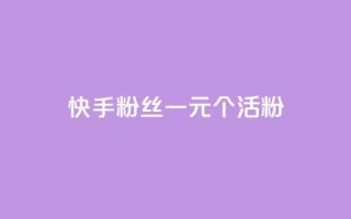 快手粉丝一元1000个活粉,快手评论点赞业务24小时下单平台 - QQ访客与浏览量的区别 - ks全天自助下单微信支付