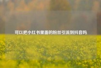 可以把小红书里面的粉丝引流到抖音吗
