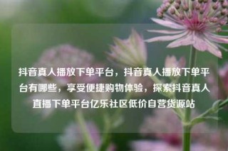 抖音真人播放下单平台，抖音真人播放下单平台有哪些，享受便捷购物体验，探索抖音真人直播下单平台亿乐社区低价自营货源站