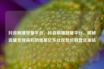抖音刷播放量平台，抖音刷播放量平台，揭秘流量变现背后的黑幕亿乐社区低价自营货源站