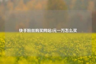 快手粉丝购买网站3元一万怎么买