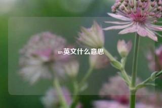 uv英文什么意思