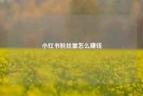 小红书粉丝量怎么赚钱