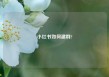 小红书如何建群?