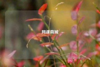 网课商城