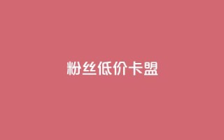 dy粉丝低价卡盟,抖音24小时自助平台广告 - 拼多多业务自助下单网站 - 拼多多3人团评论区怎么复制