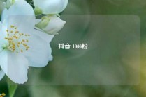 抖音 1000粉