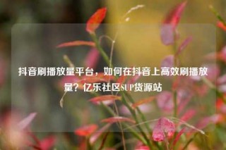 抖音刷播放量平台，如何在抖音上高效刷播放量？亿乐社区SUP货源站
