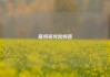 麻将研究院频道