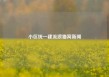 小区统一建流浪猫窝新闻