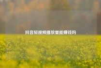 抖音短视频播放量能赚钱吗