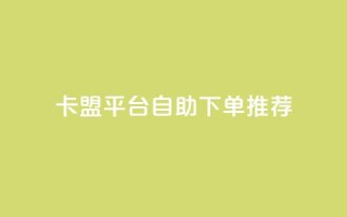 卡盟平台自助下单推荐 - 自助下单卡盟平台优选指南~