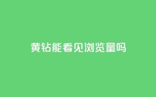 qq黄钻能看见浏览量吗,qq主题链接大全免费网站 - 1元涨100粉抖音 - ks直播业务平台怎么下