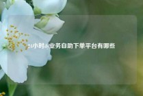24小时dy业务自助下单平台有哪些