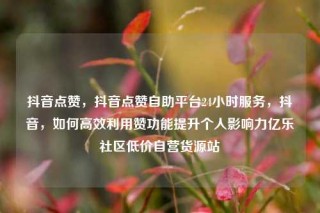 抖音点赞，抖音点赞自助平台24小时服务，抖音，如何高效利用赞功能提升个人影响力亿乐社区低价自营货源站