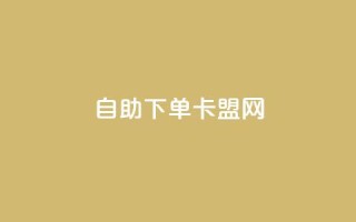 自助下单卡盟网,qq空间访客网站最便宜 - 0.01元宝后还有什么套路 - 拼多多开店怎么开 新手