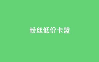dy粉丝低价卡盟 - 重磅推荐：dy粉丝卡盟亲民价！~