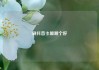 刷抖音卡盟哪个好