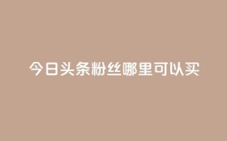 今日头条粉丝哪里可以买 - 在哪里可以购买今日头条粉丝？!