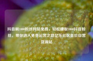 抖音刷1000粉丝网站免费，轻松赚取1000抖音粉丝，带你进入免费运营之路亿乐社区低价自营货源站