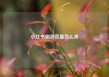 小红书刷浏览量怎么弄