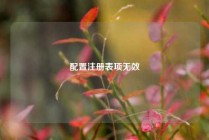 配置注册表项无效