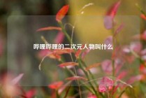 哔哩哔哩的二次元人物叫什么