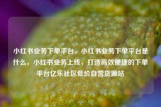 小红书业务下单平台，小红书业务下单平台是什么，小红书业务上线，打造高效便捷的下单平台亿乐社区低价自营货源站