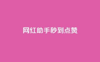 网红助手秒到点赞,梓豪网络24小时秒单业务平台 - 王者荣耀人气点赞购买平台 - 抖音涨粉可以花钱买吗