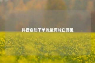 抖音自助下单流量商城在哪里